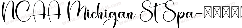 NCAA Michigan St Spa字体转换